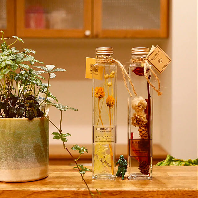 雑貨/観葉植物/リビングのインテリア実例 - 2019-12-30 10:54:25