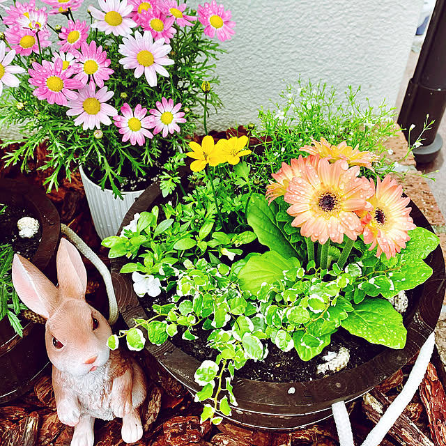 miyaさんの実例写真