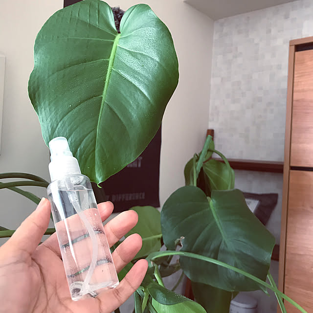 霧吹きスプレー/観葉植物のある暮らし/乾燥対策/DAIKEN/ミセル...などのインテリア実例 - 2020-01-14 11:18:01