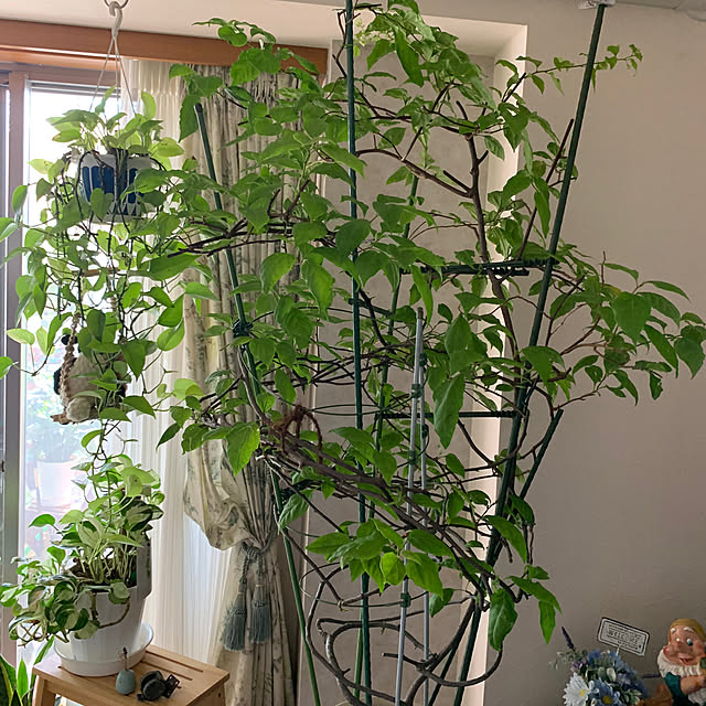 Aqettyさんの部屋