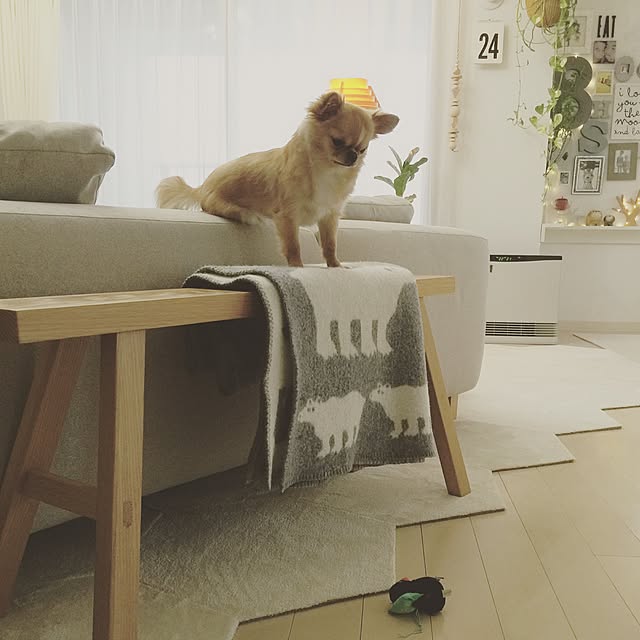 haruhinaさんの実例写真