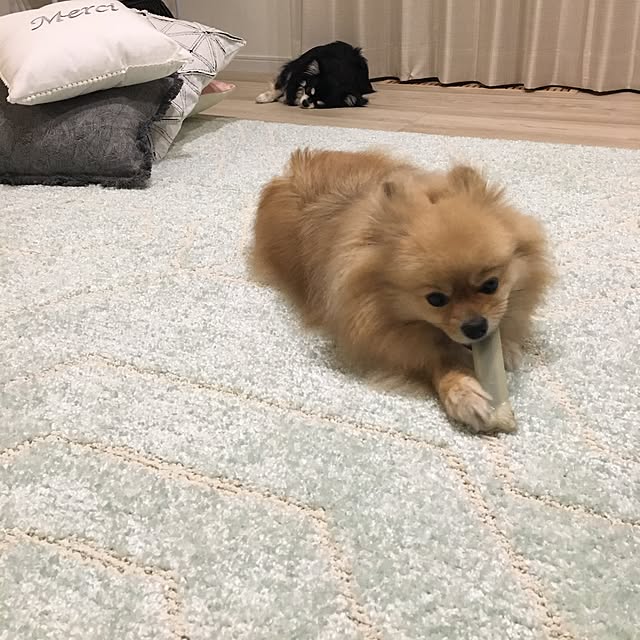 teahさんの実例写真