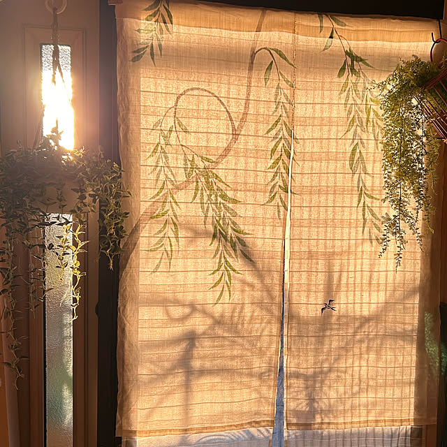 akaidarumaさんの実例写真