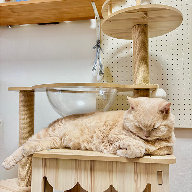 naokoさんの部屋
