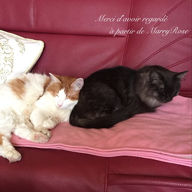 maria.rさんの実例写真
