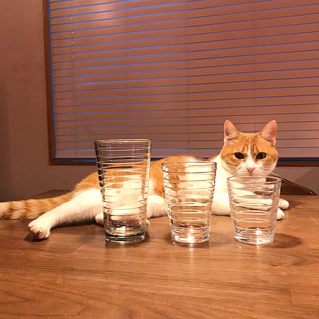 sakurasakuさんの実例写真