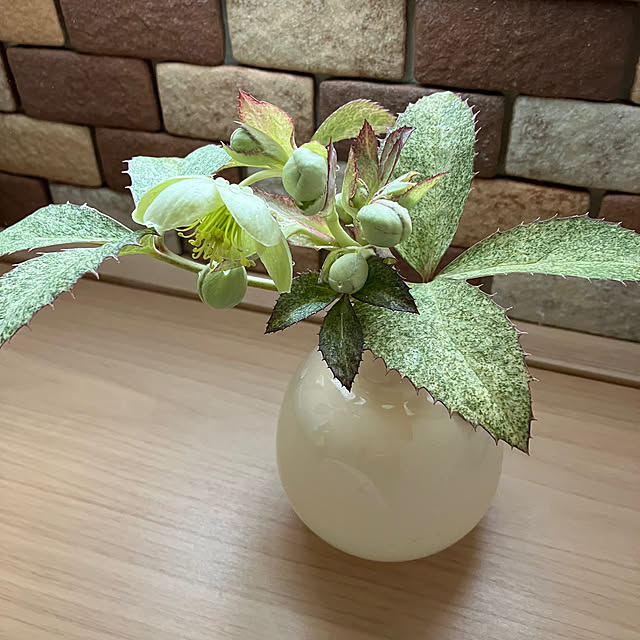 ikubooさんの部屋