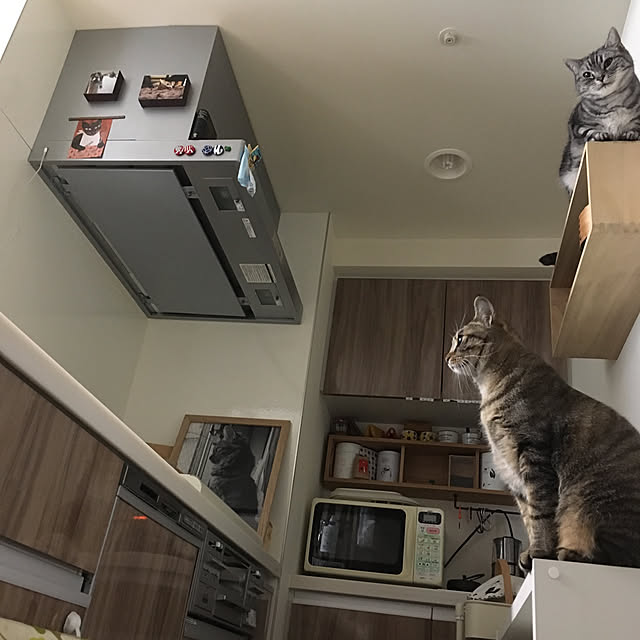 mikomaruさんの実例写真