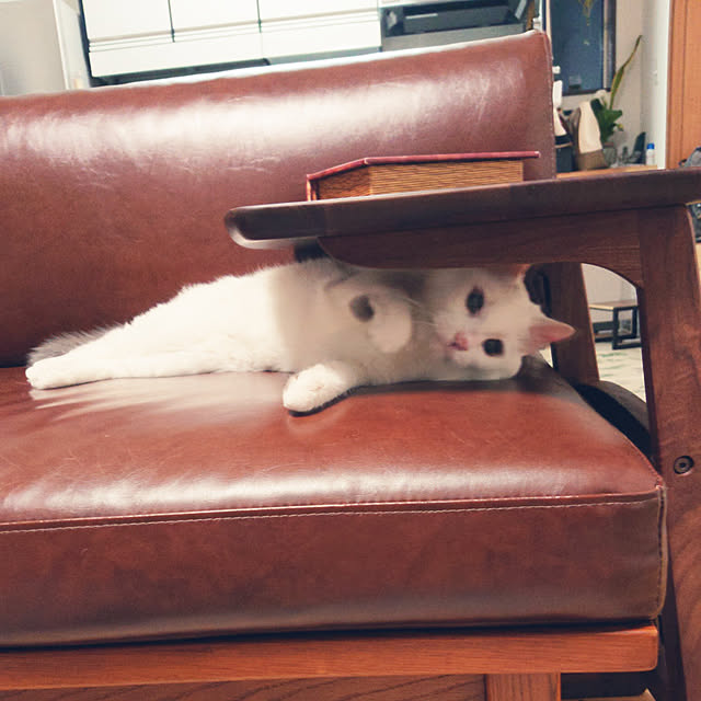 MIPORINNさんの実例写真