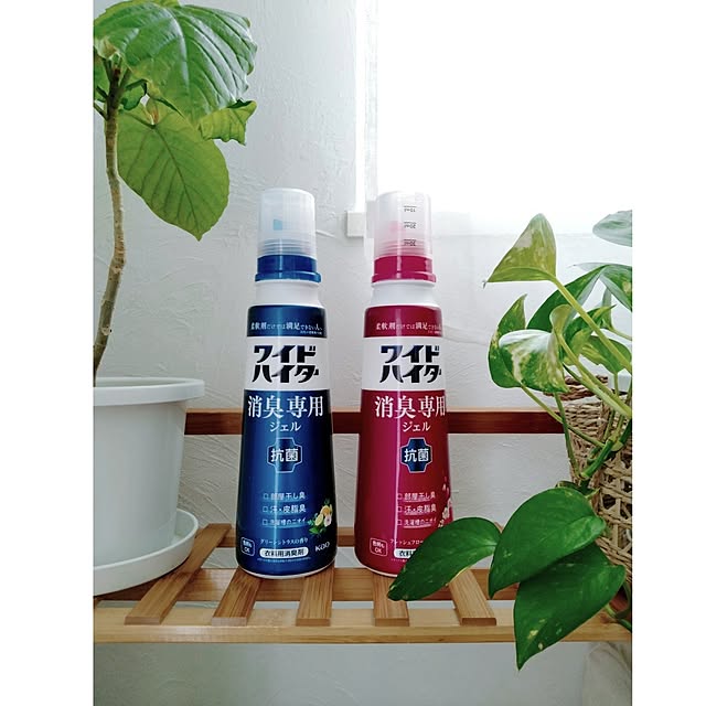 kodaminさんの部屋