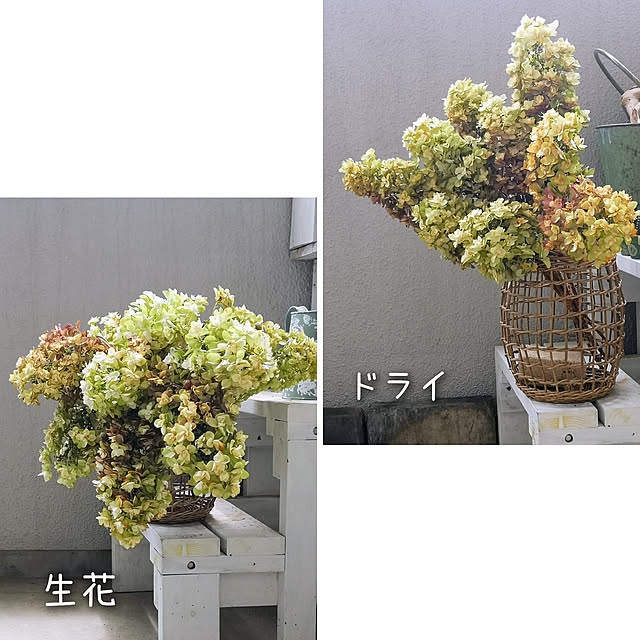 mionaさんの実例写真