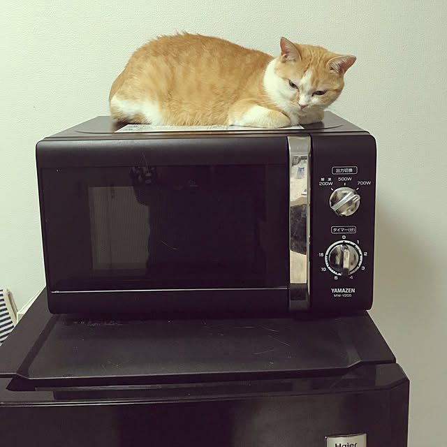Yamamotoさんの実例写真