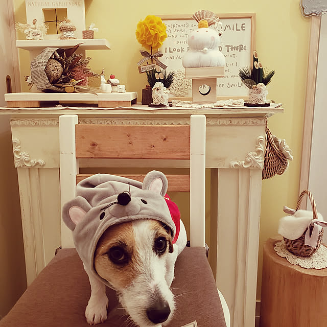 mio_ibu_1106さんの実例写真