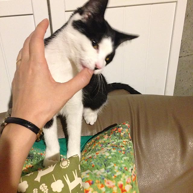 ziziguguさんの実例写真