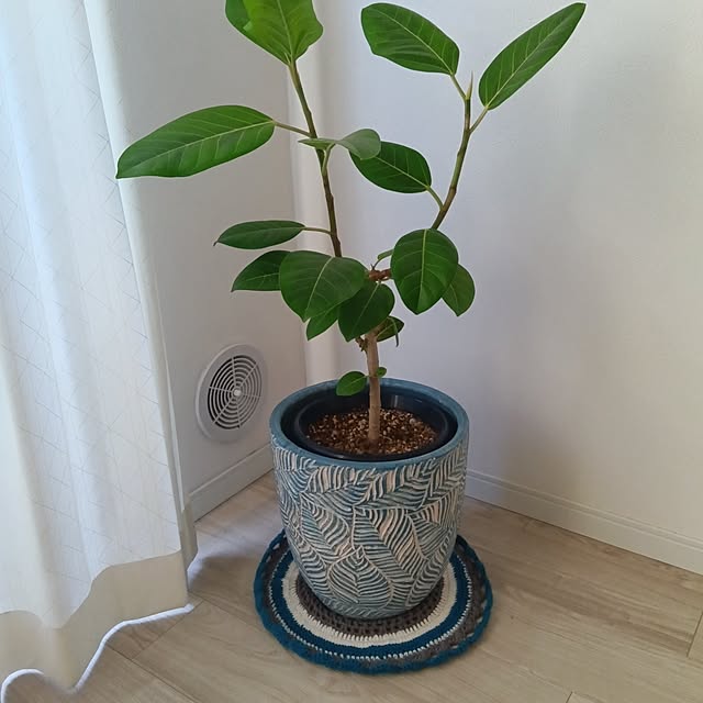 gomariさんの部屋