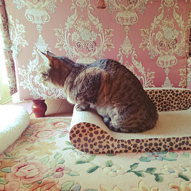 lilyさんの実例写真