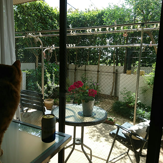 okyosan101さんの実例写真