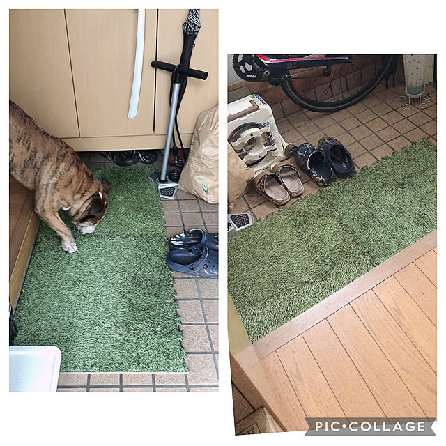chi_gogaさんの実例写真