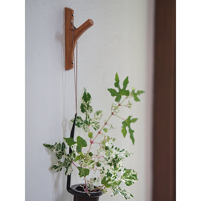 noriflowerさんの部屋
