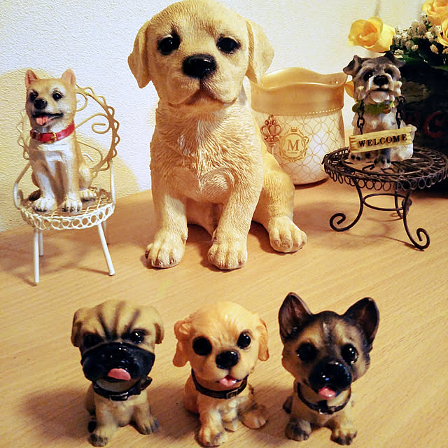 Tirorinさんの実例写真