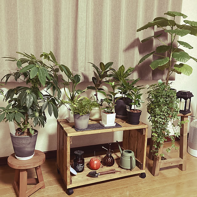namiamaさんの実例写真