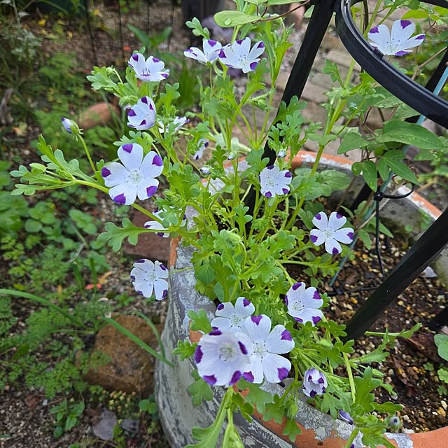 min_nimさんの部屋