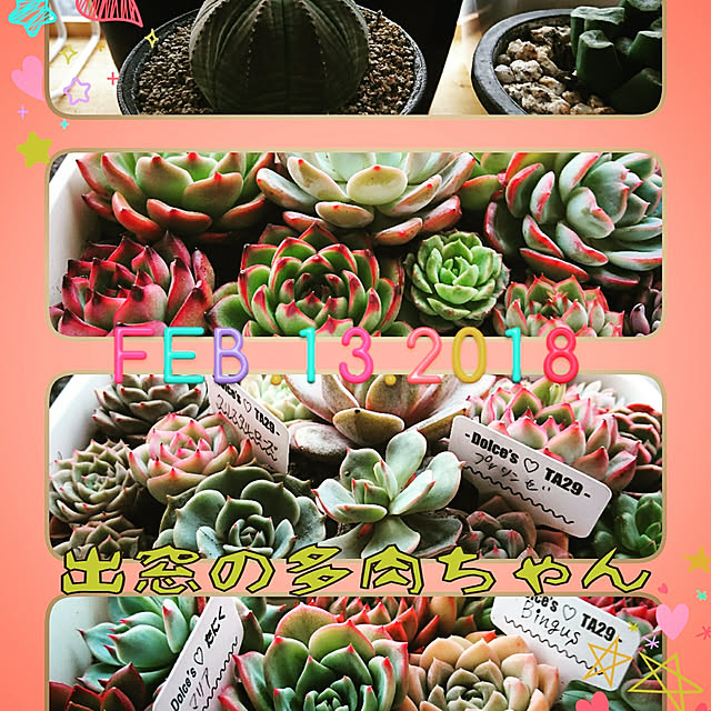 emiさんの実例写真