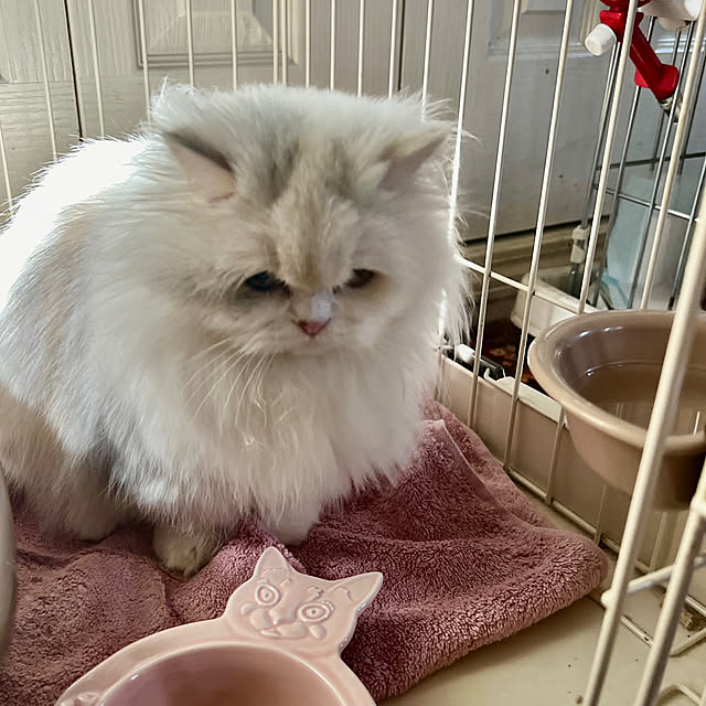 AYUKOさんの部屋