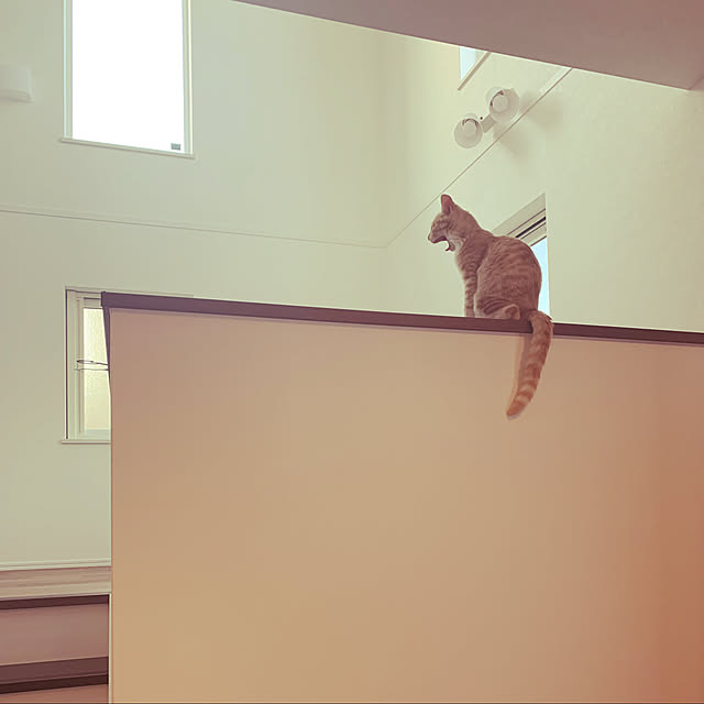 yhksさんの実例写真