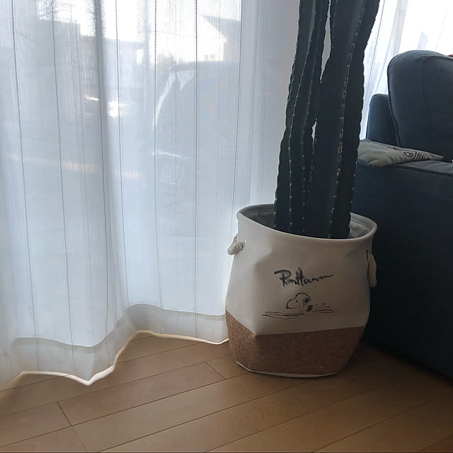 KSSHHさんの実例写真
