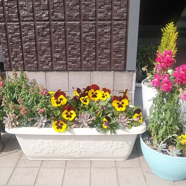Yukityannさんの実例写真