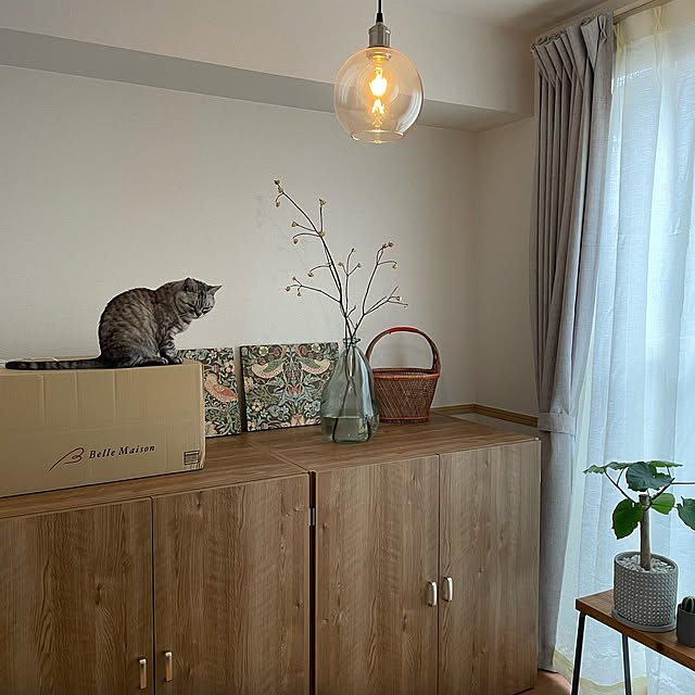 ねこ/部屋全体のインテリア実例 - 2022-10-11 22:38:47
