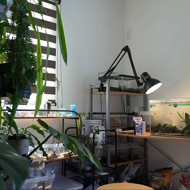 yaikoさんの部屋