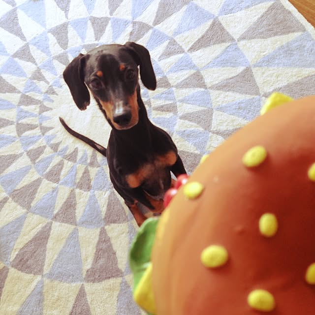実例写真