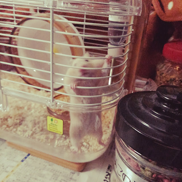 mananaさんの実例写真