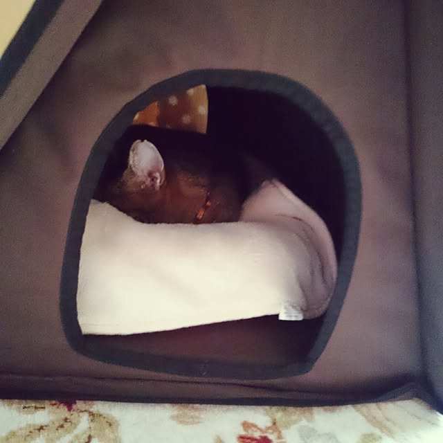 lilyさんの実例写真