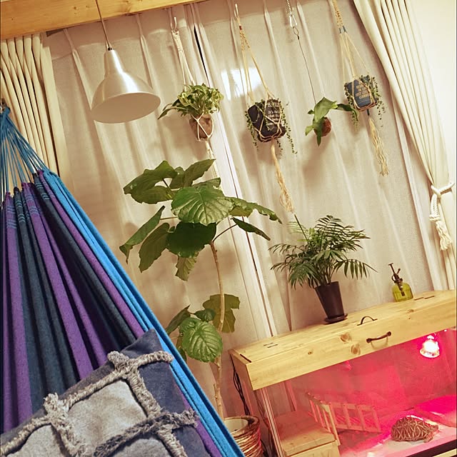 sig0320さんの実例写真