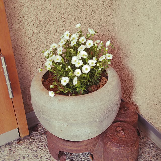 niko2pun2さんの実例写真