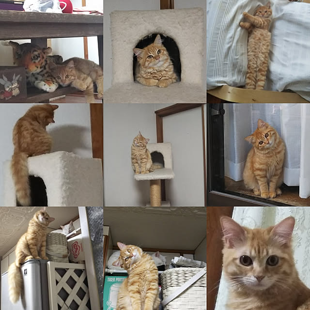 gabさんの実例写真