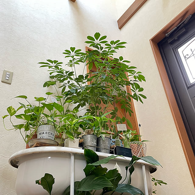 mippoko345さんの実例写真