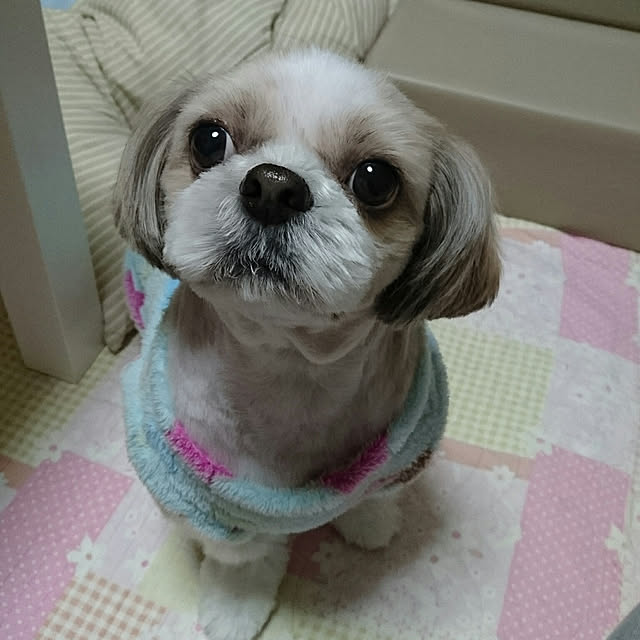 ronさんの実例写真