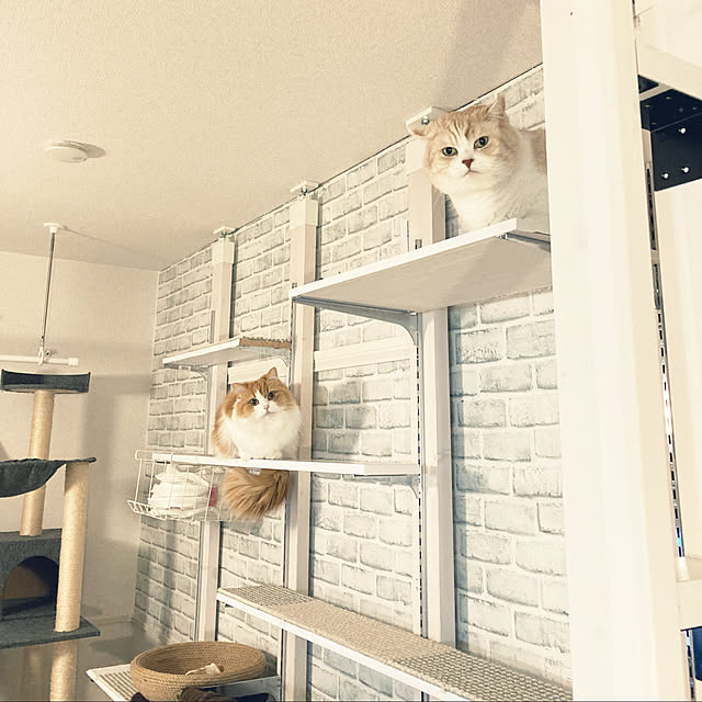 H.Tさんの実例写真