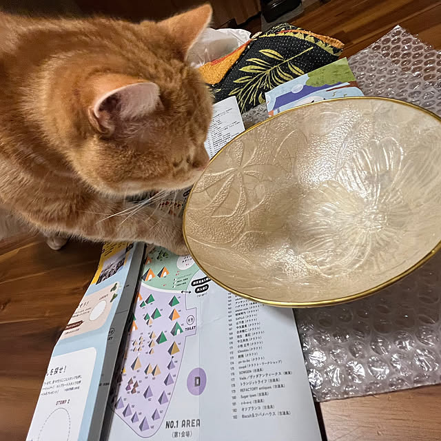 実例写真