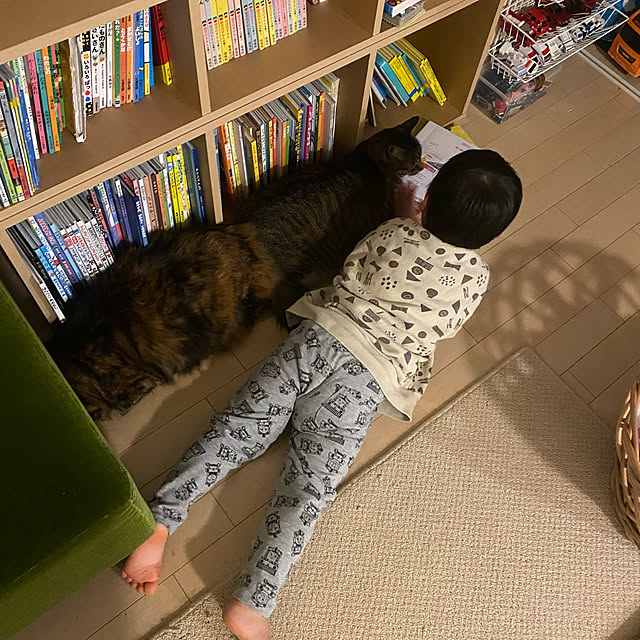mikomaruさんの実例写真