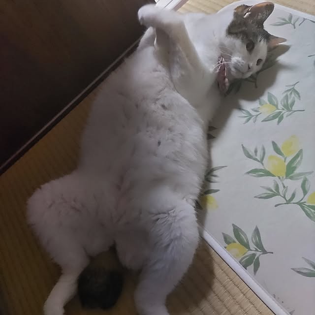 yuuさんの部屋