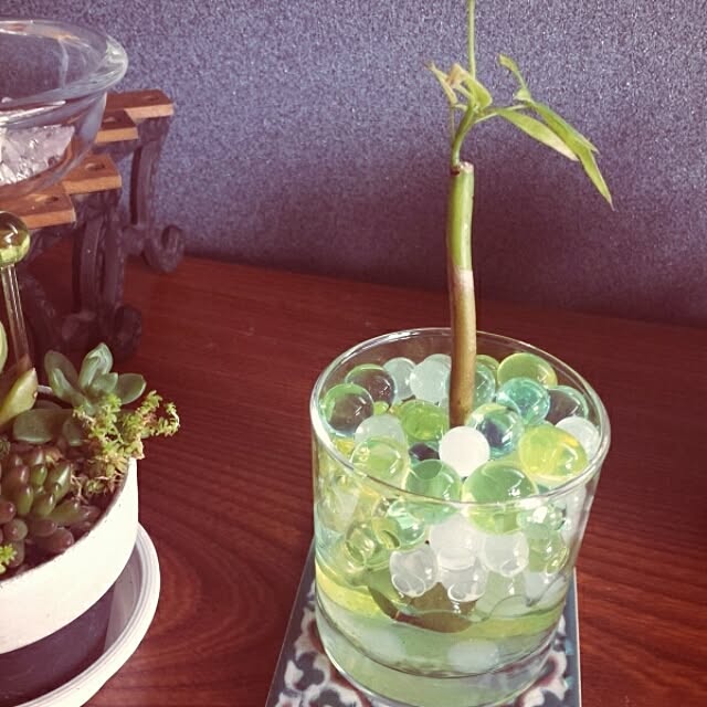 sakuさんの実例写真