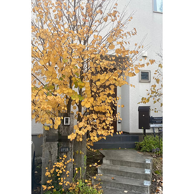 kobami_styleさんの実例写真