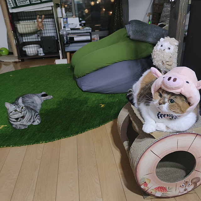 hiro3さんの実例写真