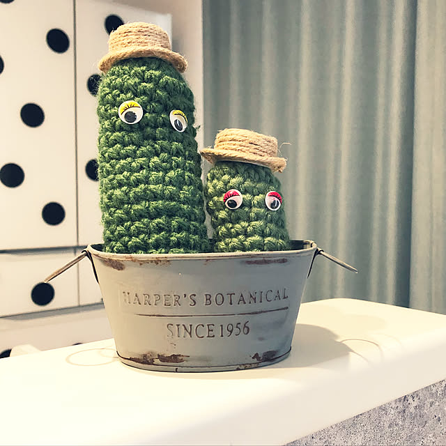 ha____ta04さんの実例写真