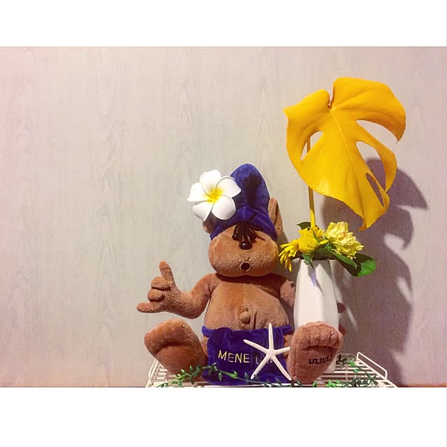 gizumiiiiiさんの実例写真